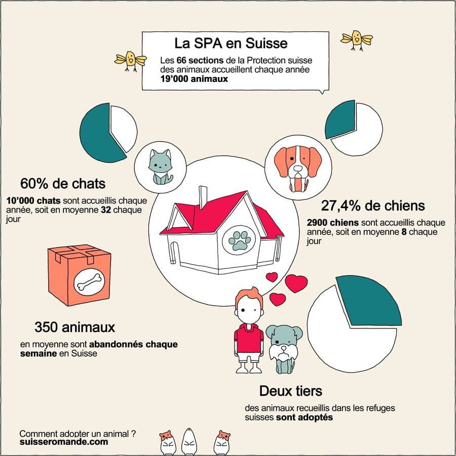 Infographie : la SPA en Suisse