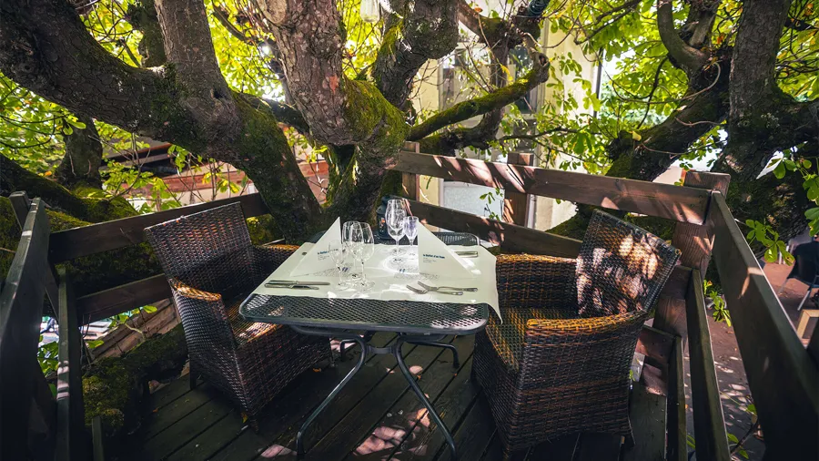 Table dans les arbres au Buffet d'un Tram