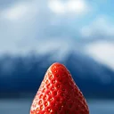 Alimentation en Suisse - Faire ses courses en ligne