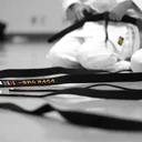 Les clubs et cours d'arts martiaux en Suisse romande