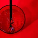 Bars romands : nos adresses pour consommer (très) local