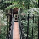 Cabanes insolites dans les arbres en Suisse romande