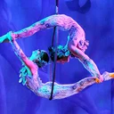 Les cirques en Suisse romande - Acrobatie, jonglerie et écoles