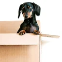 Déménagement en Suisse : trouve la solution adaptée à ton départ