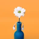 Loisirs en Suisse romande : idées et sorties