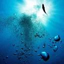 Plongée Suisse romande : clubs, écoles et formations