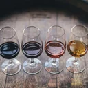 Vins en Suisse romande : vignobles et terroirs