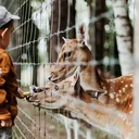 Zoos Suisse romande : parcs animaliers et aquariums