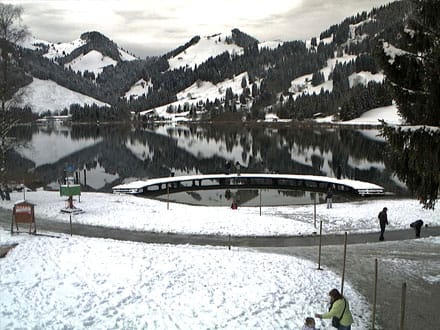 Webcam du Lac noir