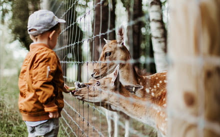 Zoos et parcs animaliers en Suisse romande